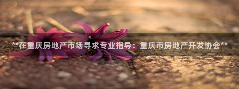 万向娱乐官网网址是多少