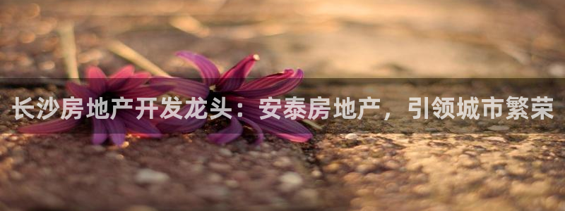 万向娱乐是野鸡台吗