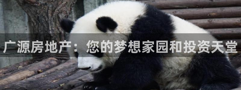 万象国际娱乐网址