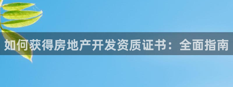 万向娱乐挂机软件