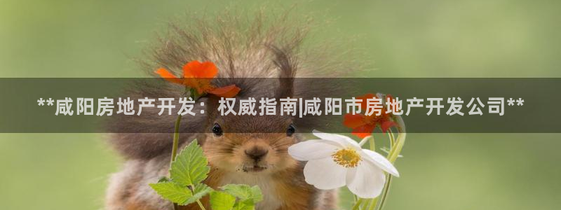 万向娱乐平台注册流程视频