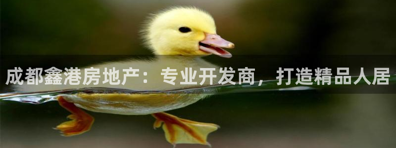 万向娱乐平台怎么下载