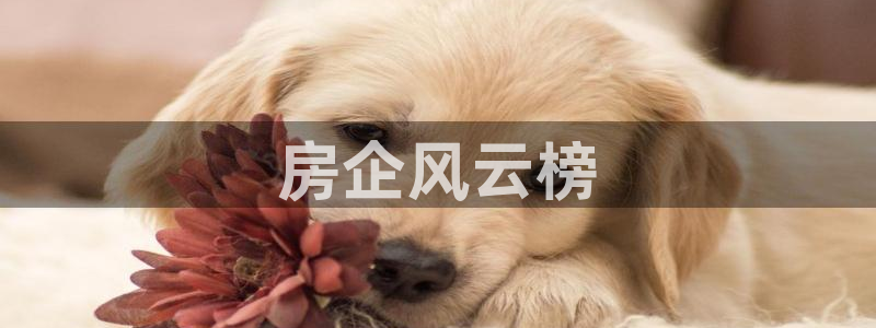 万向娱乐平台下载安装手机版