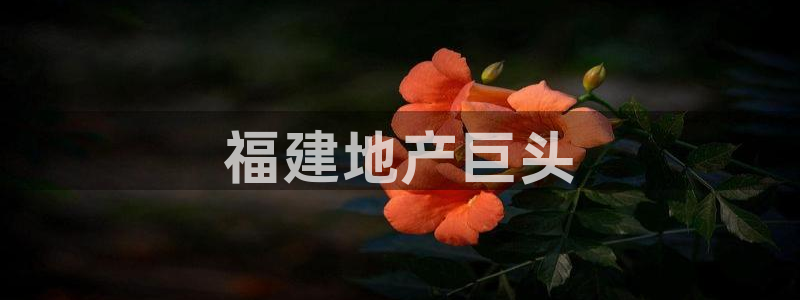 万向娱乐app下载