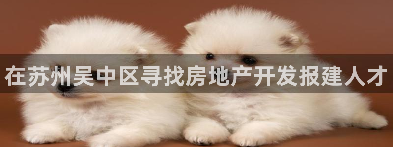 万向娱乐平台代理多少钱一个月