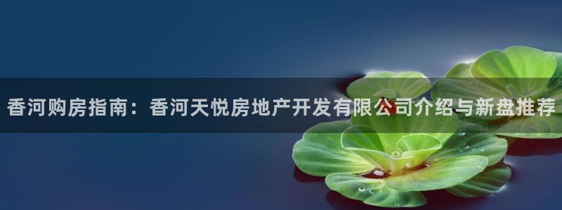 万向娱乐官网网址是什么