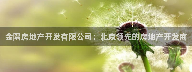 万象国际娱乐网址