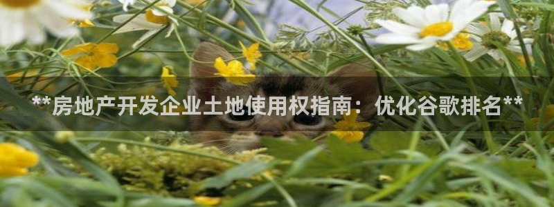 万向娱乐app下载安装