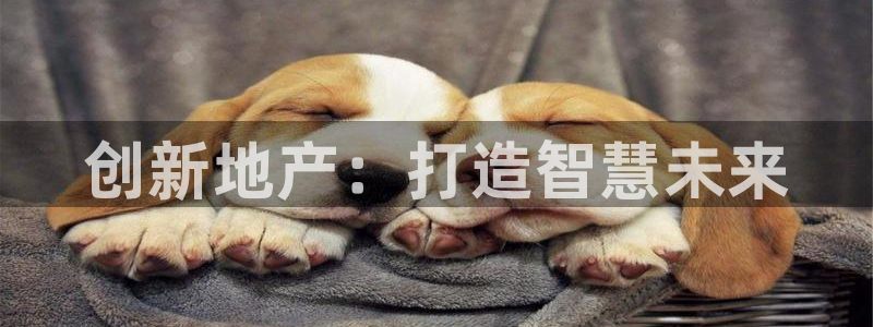 万向娱乐公司官网首页