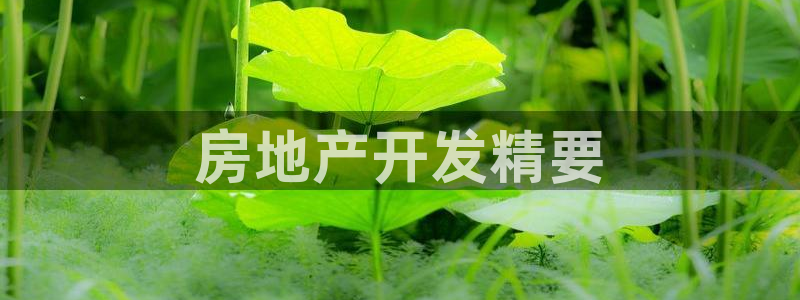 万向娱乐注册开户需要什么