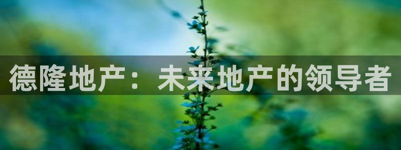 万向娱乐注册登录不了账号