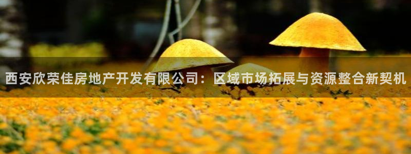 万向娱乐平台代理怎么样可靠吗