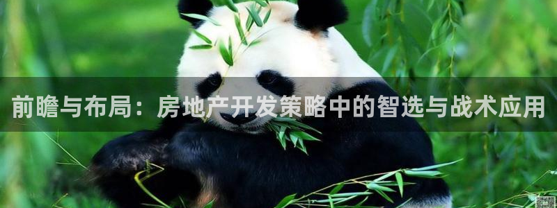 万向娱乐平台代理怎么做的