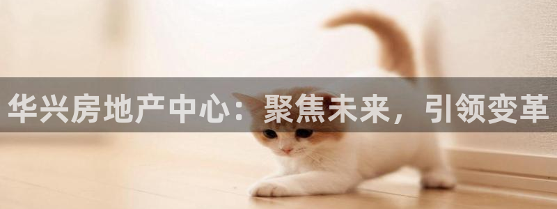 万向娱乐官网网址是什么