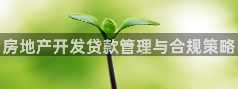 万向娱乐平台代理多少钱一年