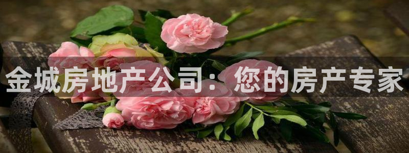 万向娱乐下载安装