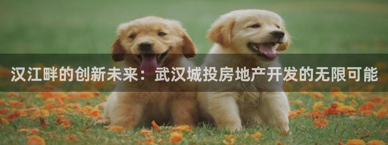 万向娱乐平台代理怎么样啊