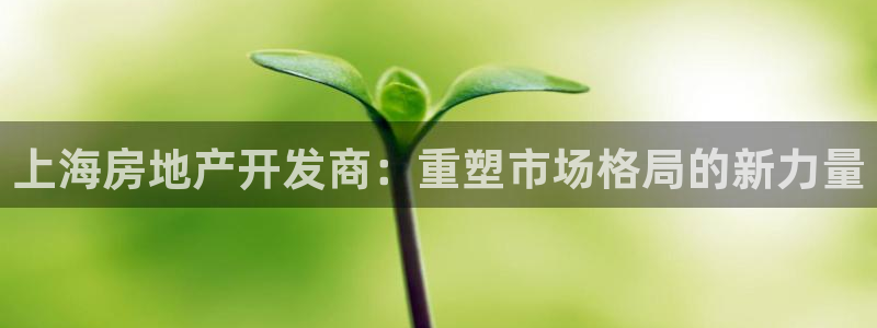 万向娱乐官网网址