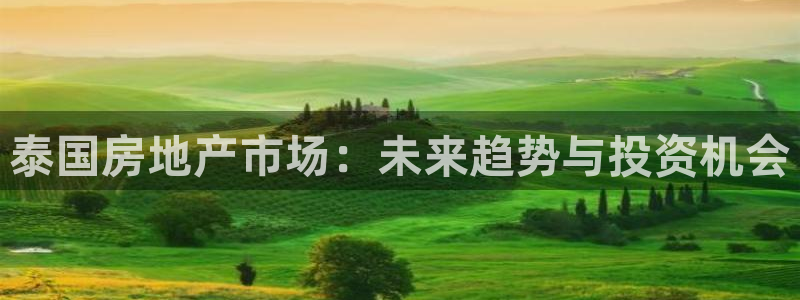 万向娱乐注册主管是谁