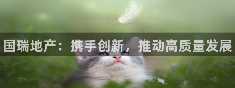 万向娱乐代理好看视频是真的吗