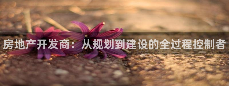 万向娱乐平台注册地址在哪里