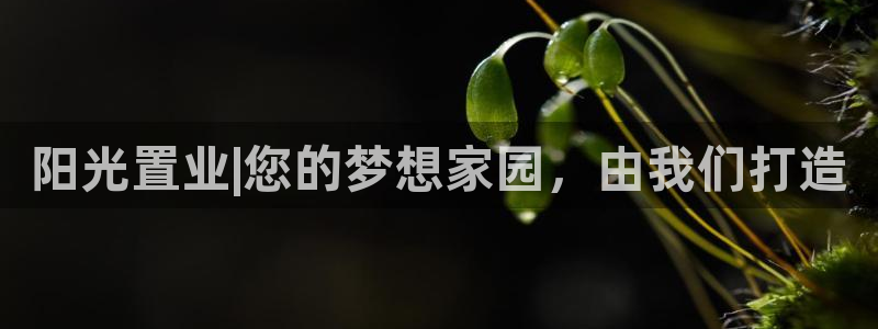 万向娱乐平台注册条件