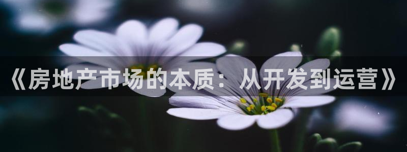 万向娱乐注册资金多少合适