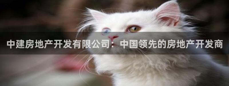 万向娱乐挂机软件