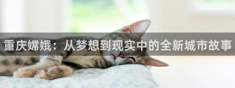 万能娱乐平台直招代理