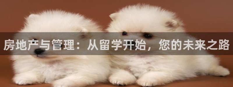 万向娱乐注册登录开户