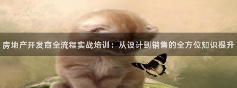 万能娱乐平台直招代理