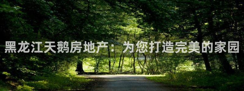 万向娱乐公司 585.34I 娱乐