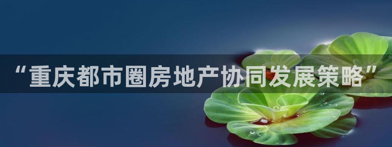 万向娱乐的494o3 主管