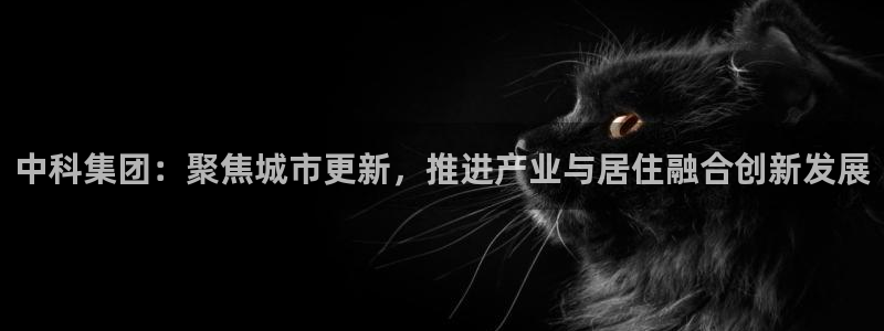 万向娱乐公司 585.34I 娱乐