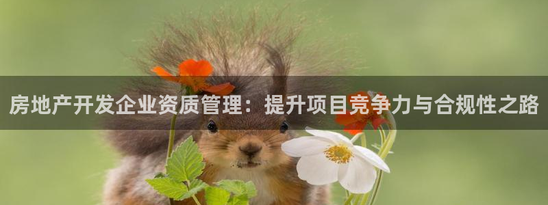 万向娱乐平台代理怎么做赚钱