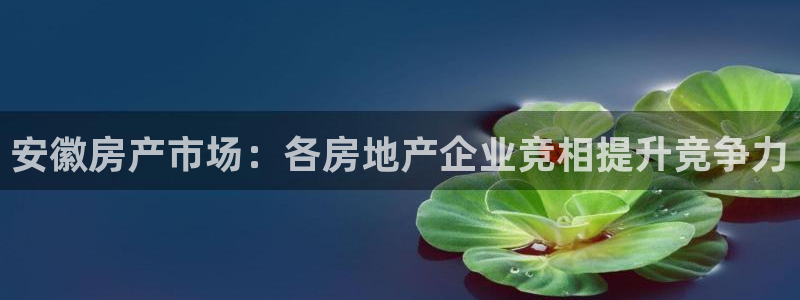 万向娱乐注册登录开户