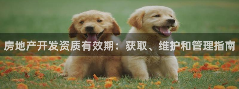 万向娱乐平台下载安装手机版