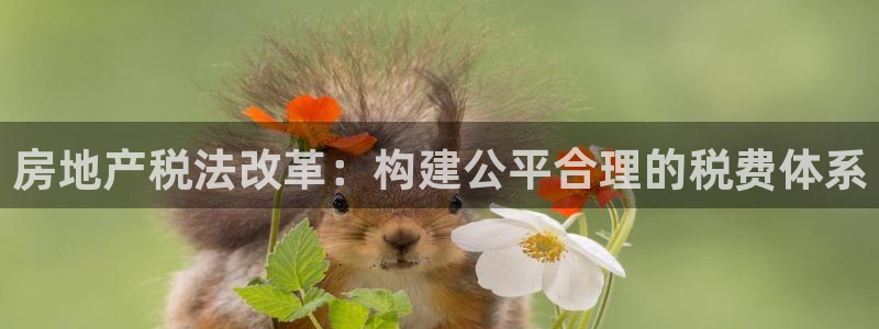 万向娱乐平台注册流程