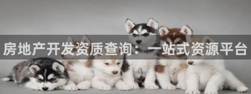 万向娱乐注册登录不上怎么办