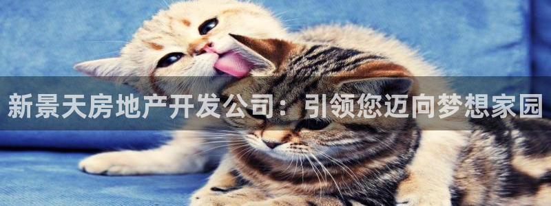 万向娱乐的联系方式是什么