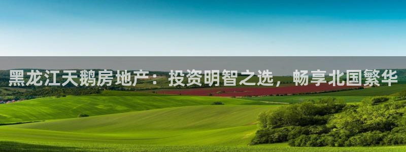 万向娱乐注册资金多少亿