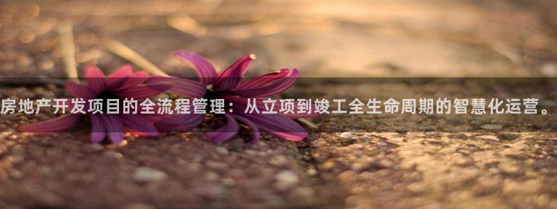 万向娱乐技术分享