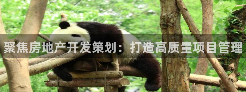 万向娱乐平台代理多少钱一个月