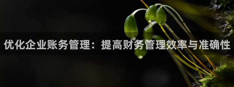 万向娱乐平台代理多少钱一个月