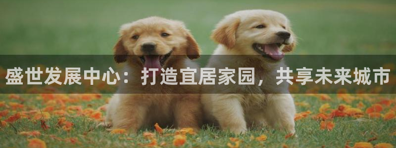 万能娱乐代理网址