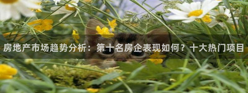 万向娱乐注册资金多少钱