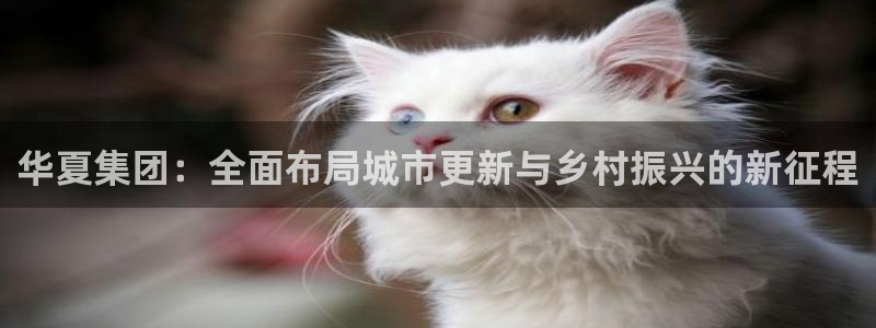 万向娱乐注册资金多少亿