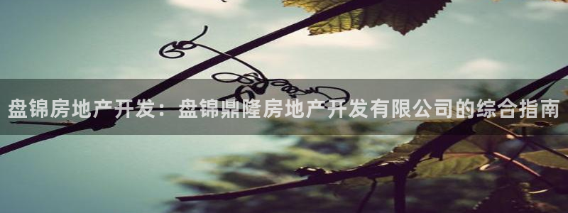 万向娱乐平台注册条件