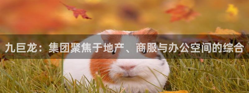 万向娱乐技术