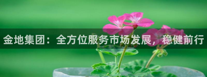 万向娱乐注册登录不了